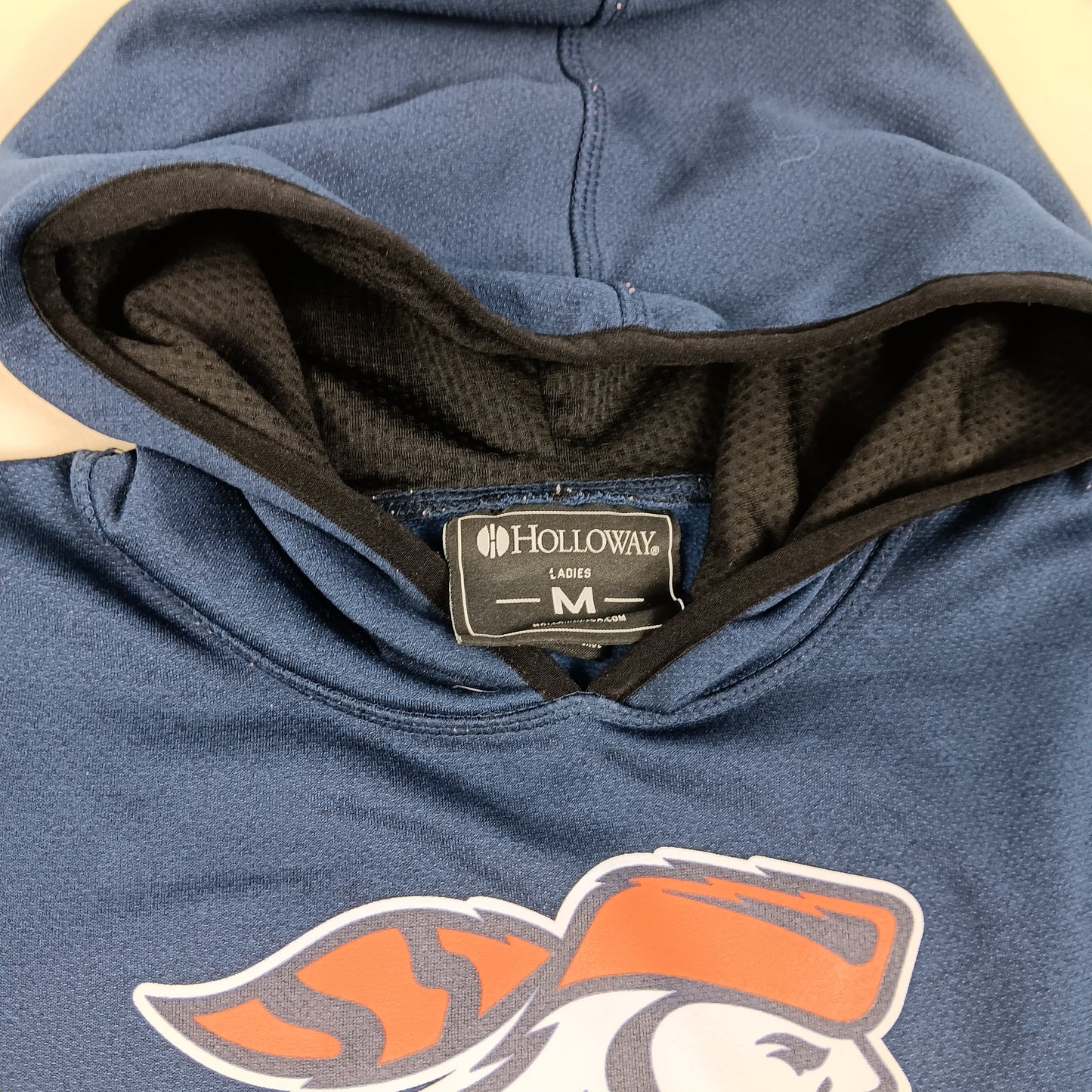 Carroll University Athletic Training Woman's Hoodie - Holloway - Medium