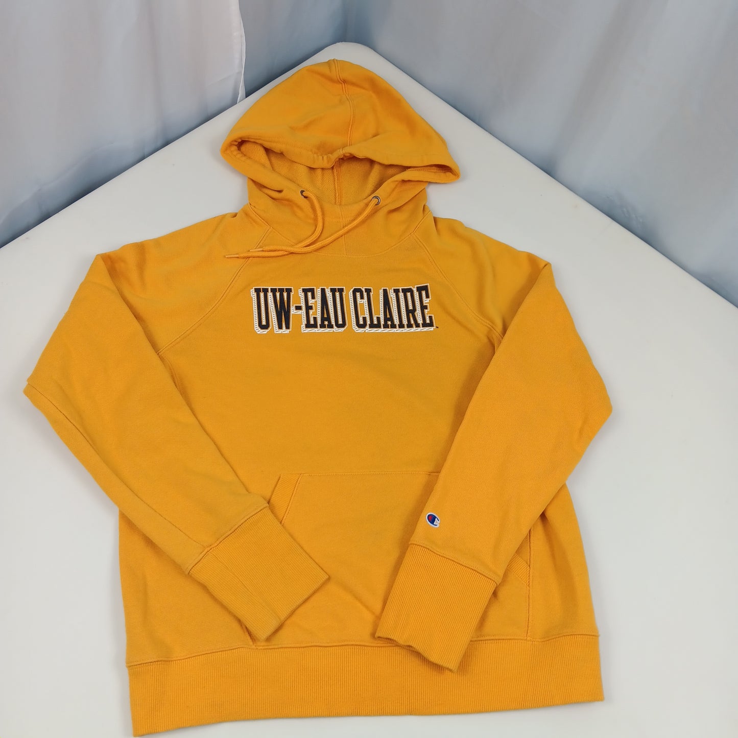 UW Eau Claire Blugolds Hoodie - Champion - Medium