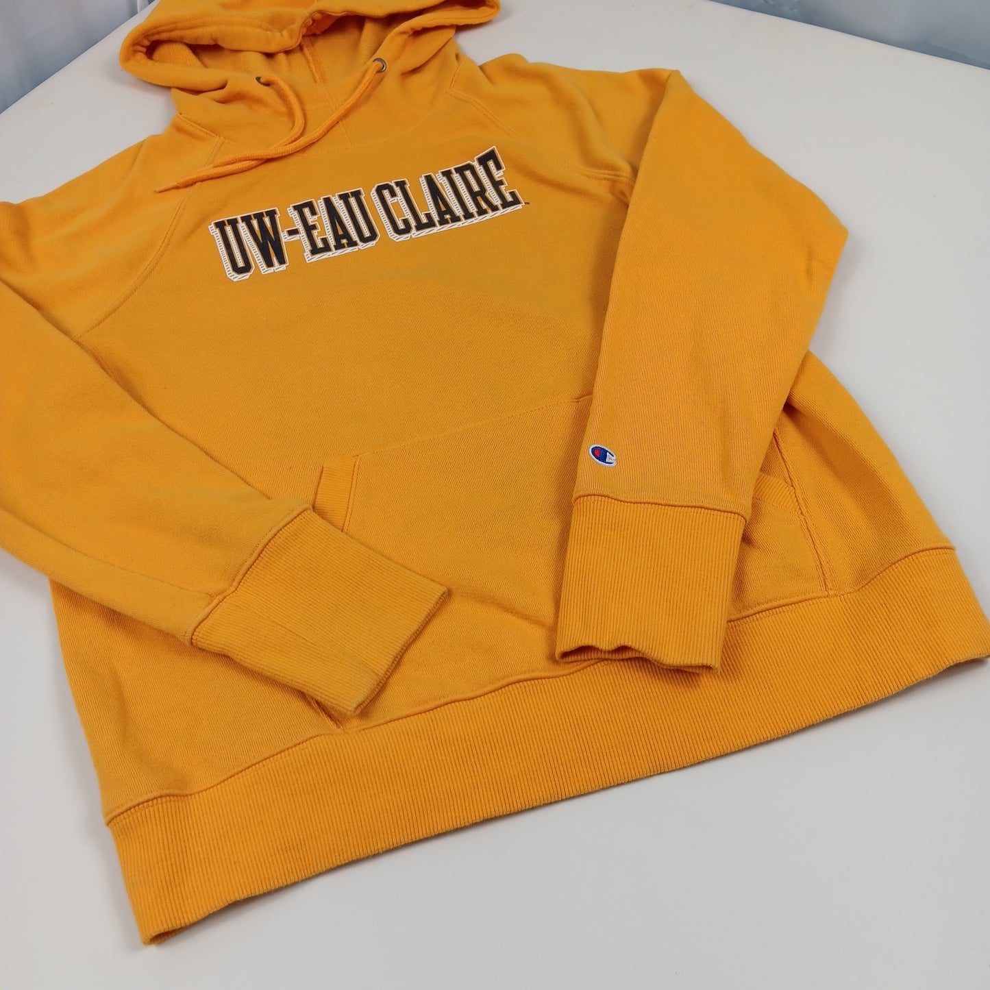 UW Eau Claire Blugolds Hoodie - Champion - Medium