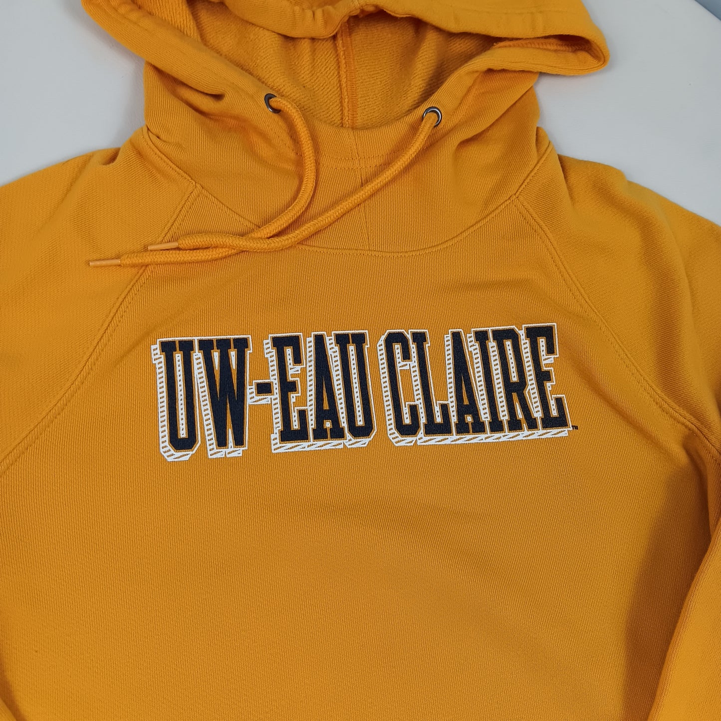 UW Eau Claire Blugolds Hoodie - Champion - Medium