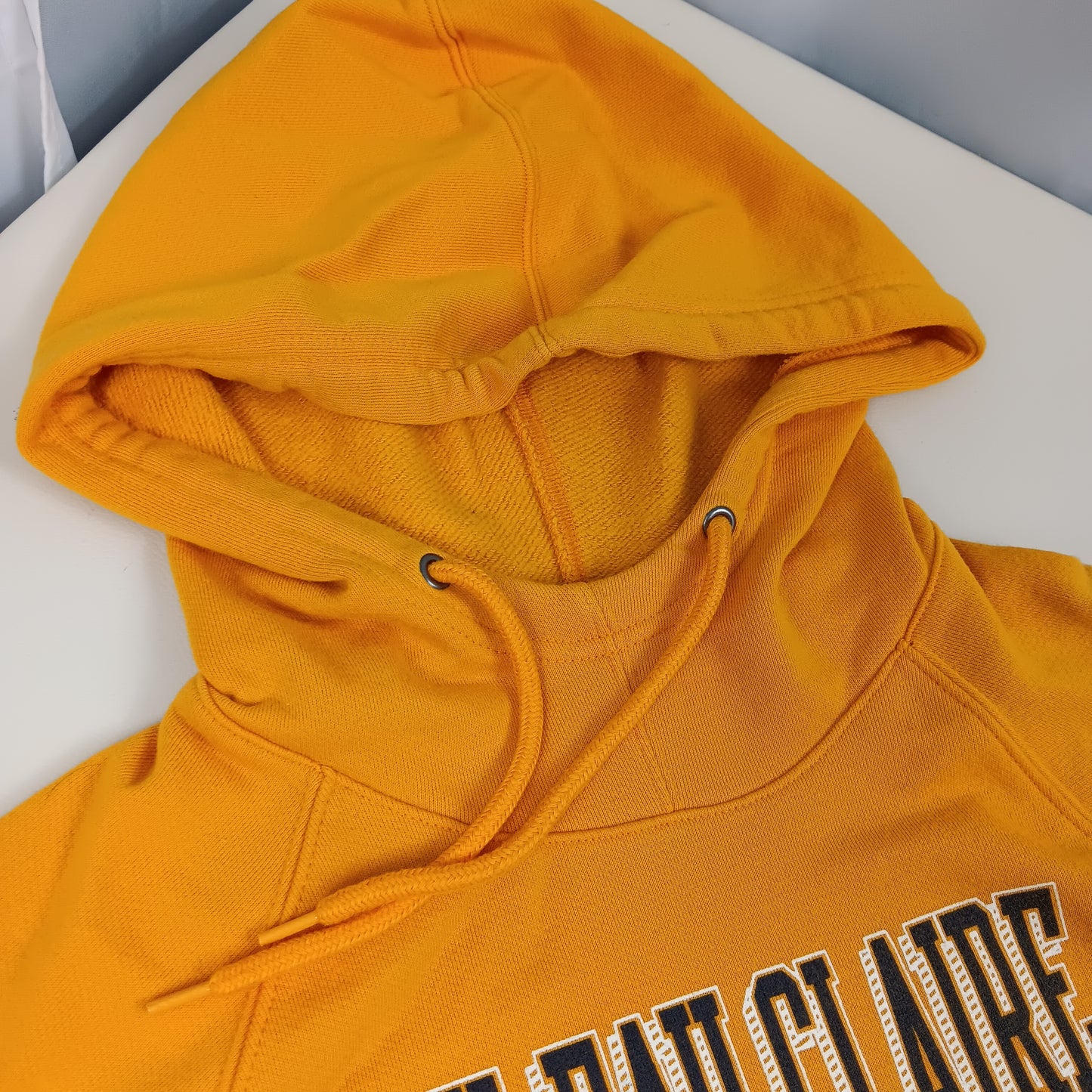 UW Eau Claire Blugolds Hoodie - Champion - Medium