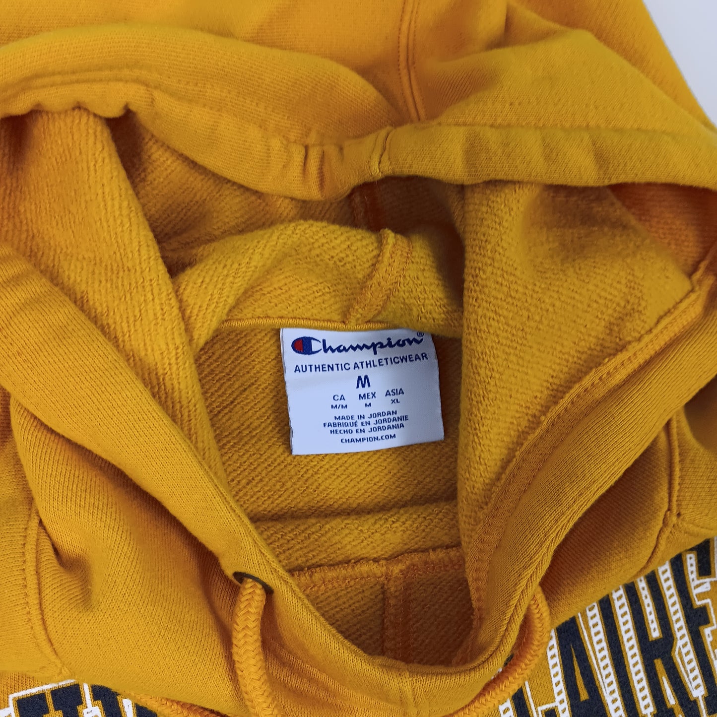 UW Eau Claire Blugolds Hoodie - Champion - Medium