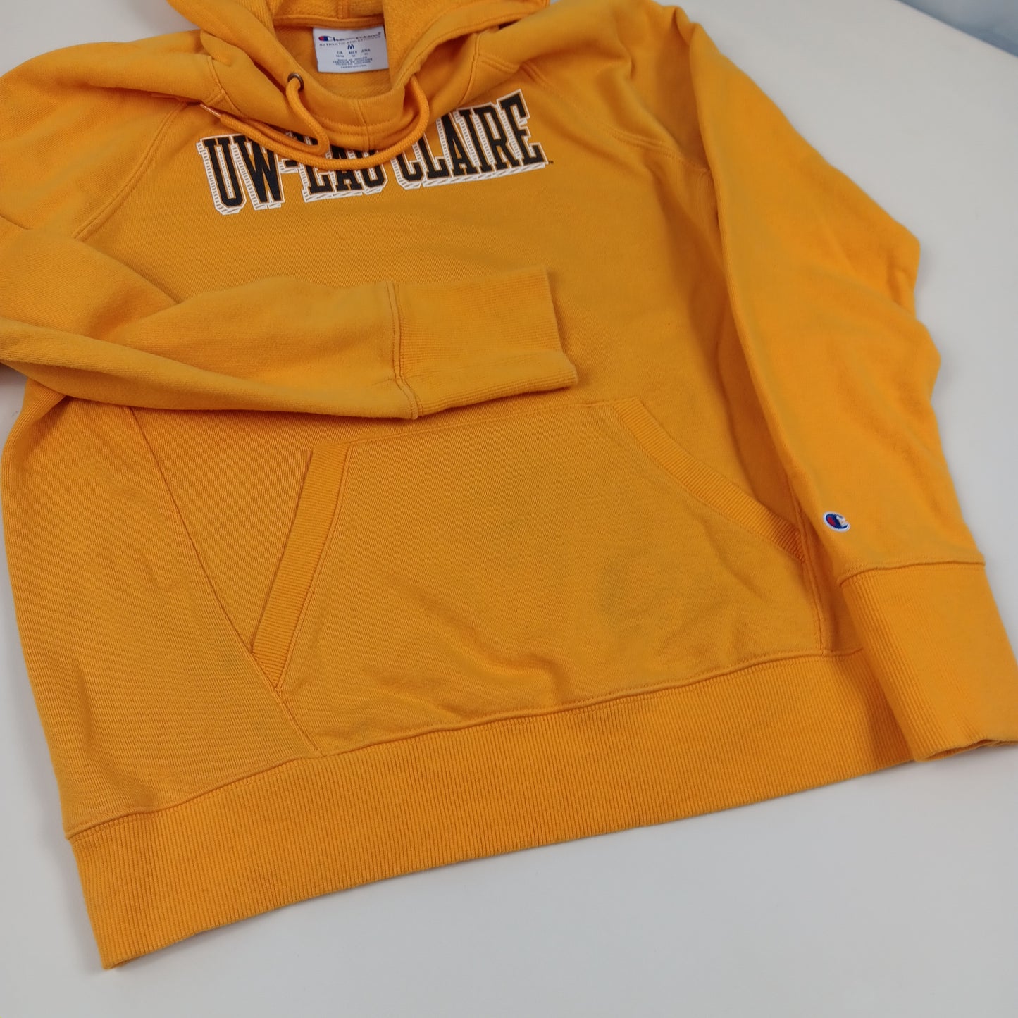 UW Eau Claire Blugolds Hoodie - Champion - Medium