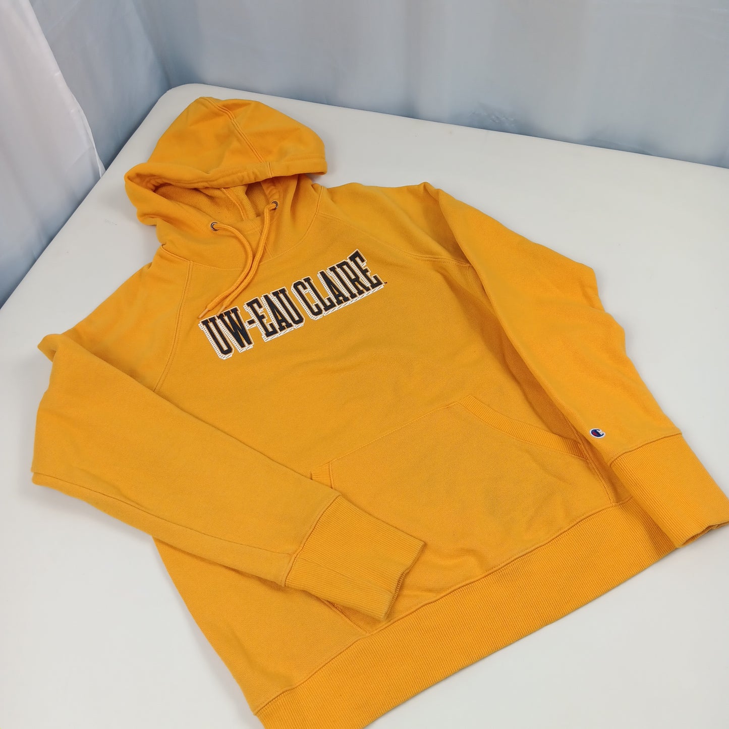UW Eau Claire Blugolds Hoodie - Champion - Medium