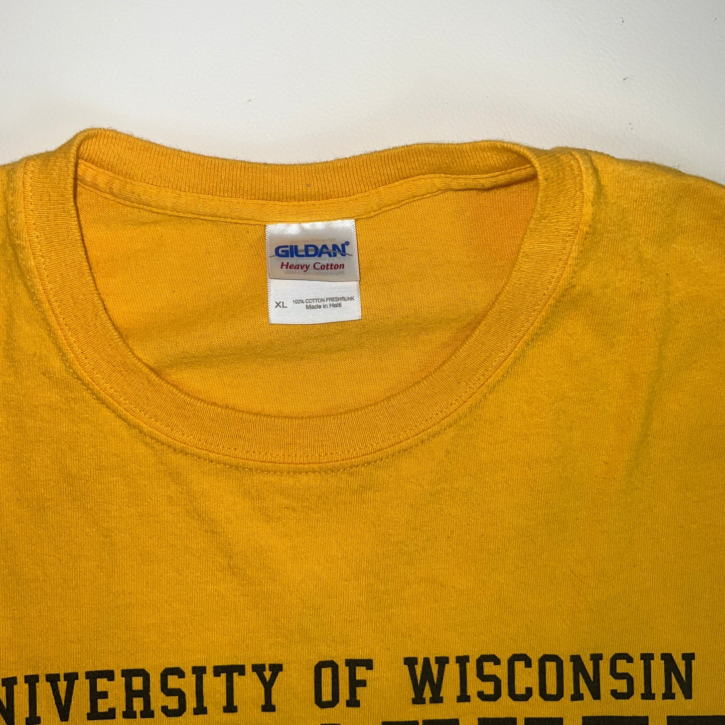 UW Milwaukee Panthers Retro Gildan T-Shirt - X Large