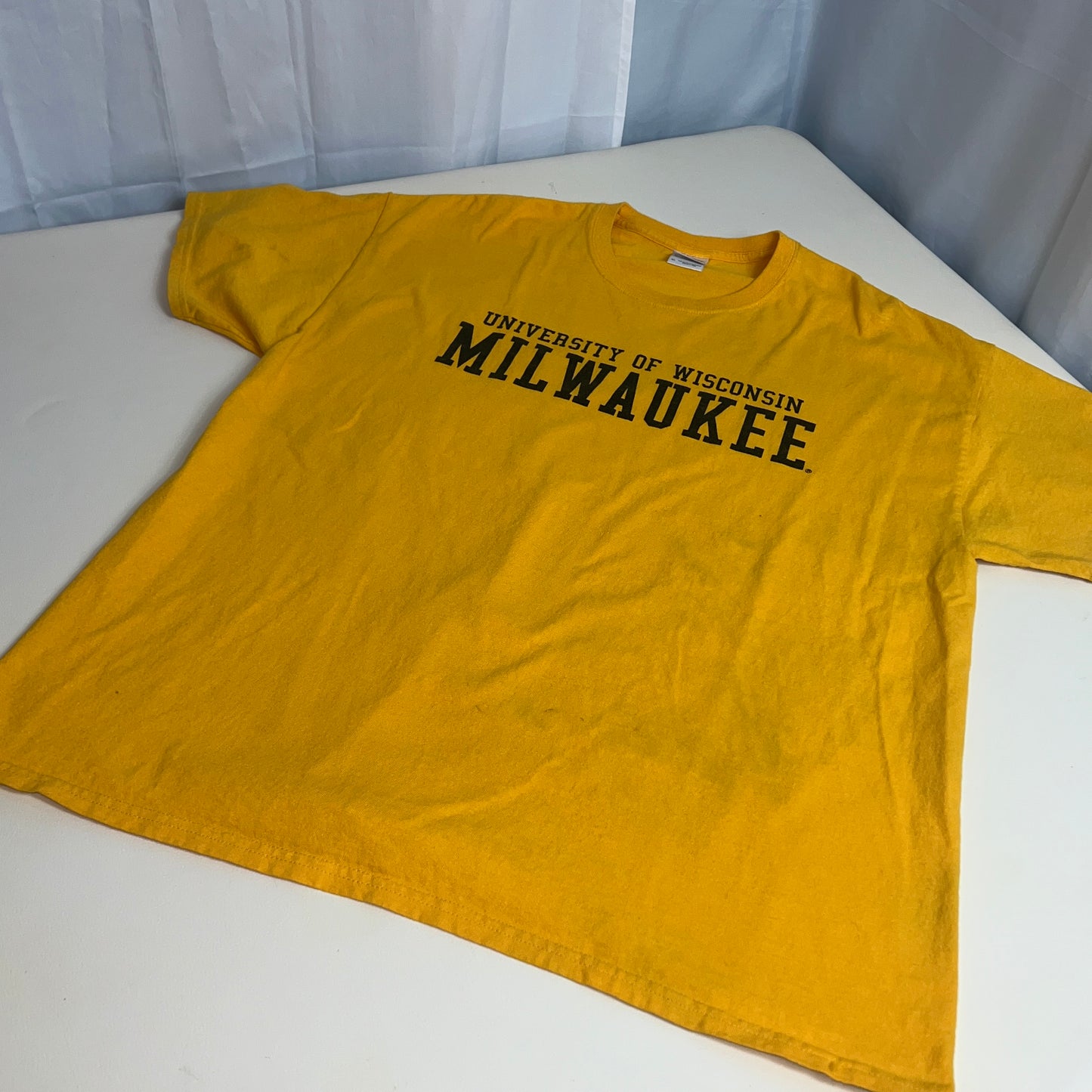 UW Milwaukee Panthers Retro Gildan T-Shirt - X Large