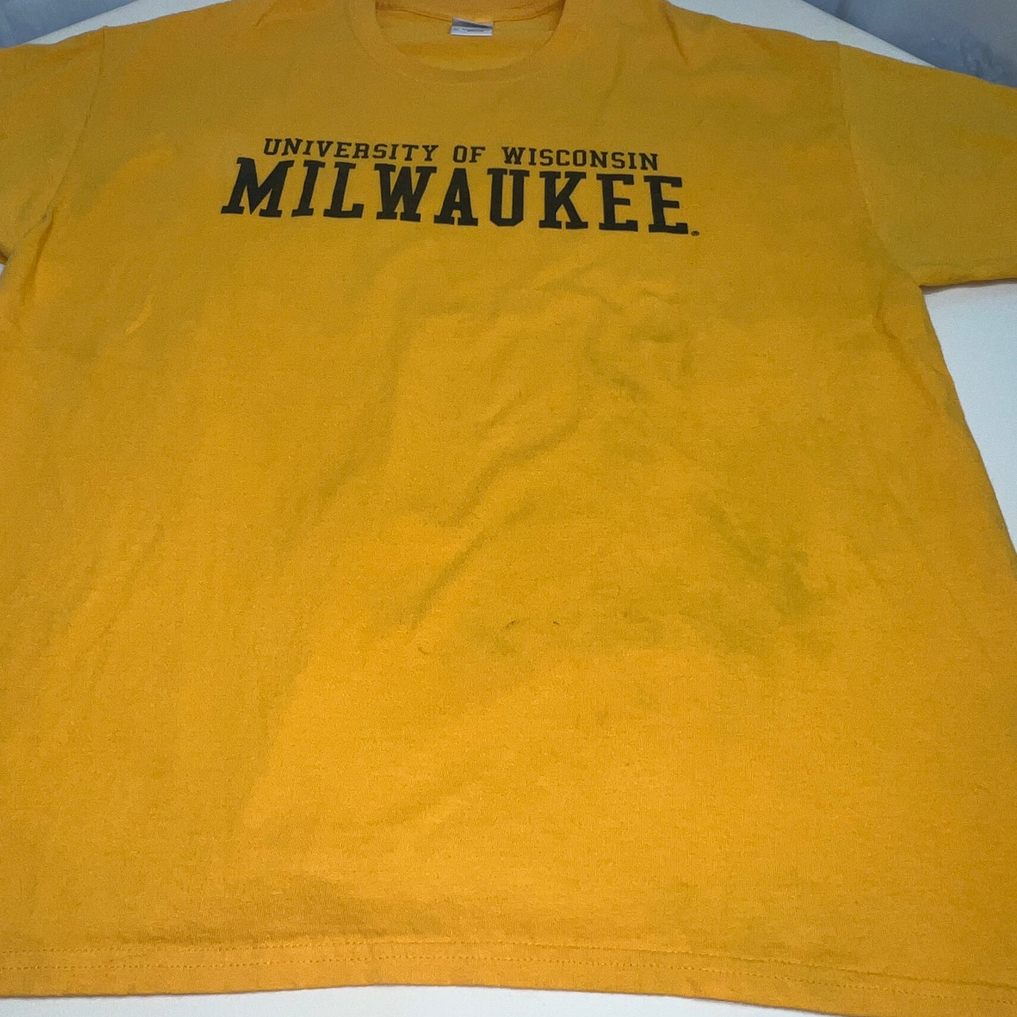 UW Milwaukee Panthers Retro Gildan T-Shirt - X Large