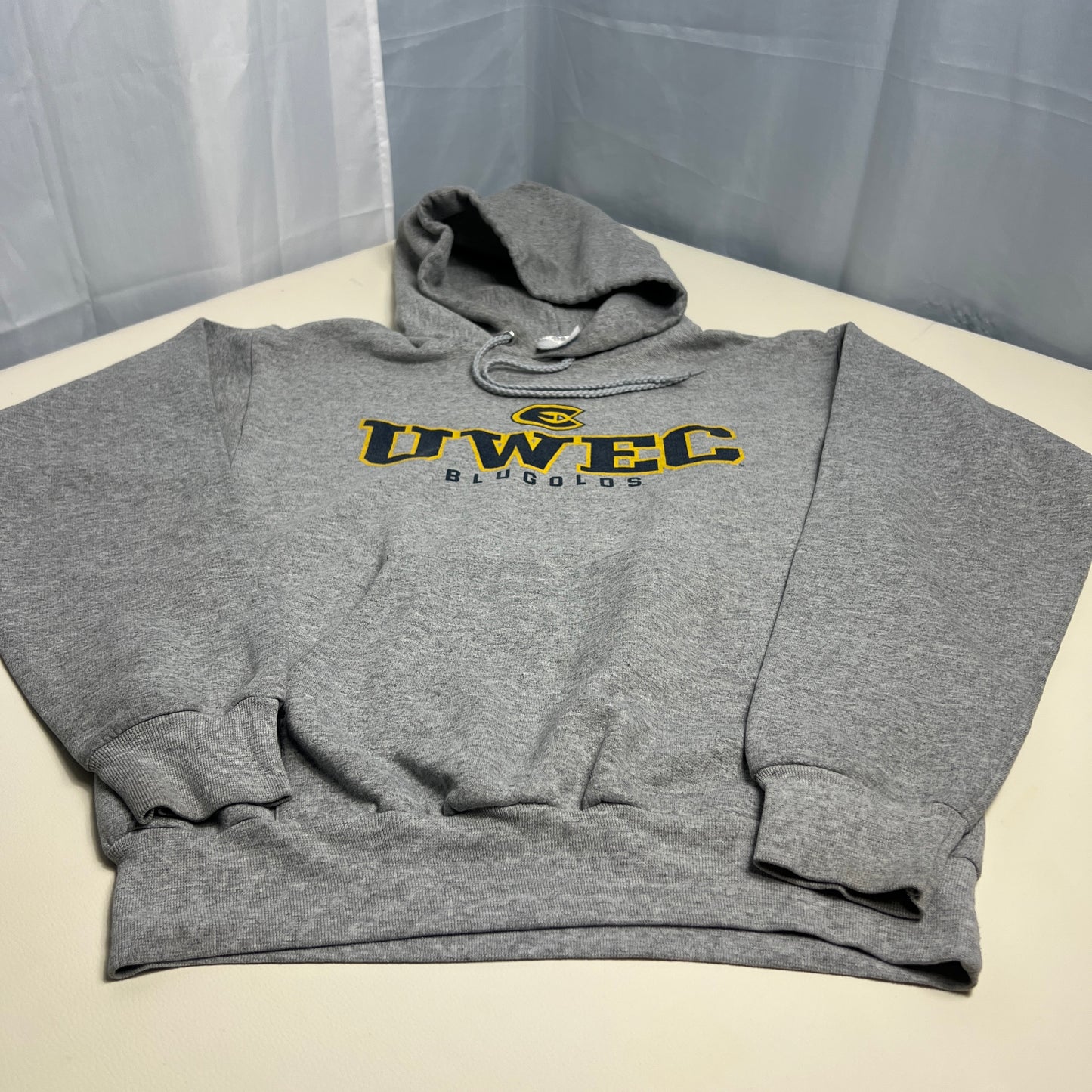 UW Eau Claire Vintage Hoodie - Small - Hanes