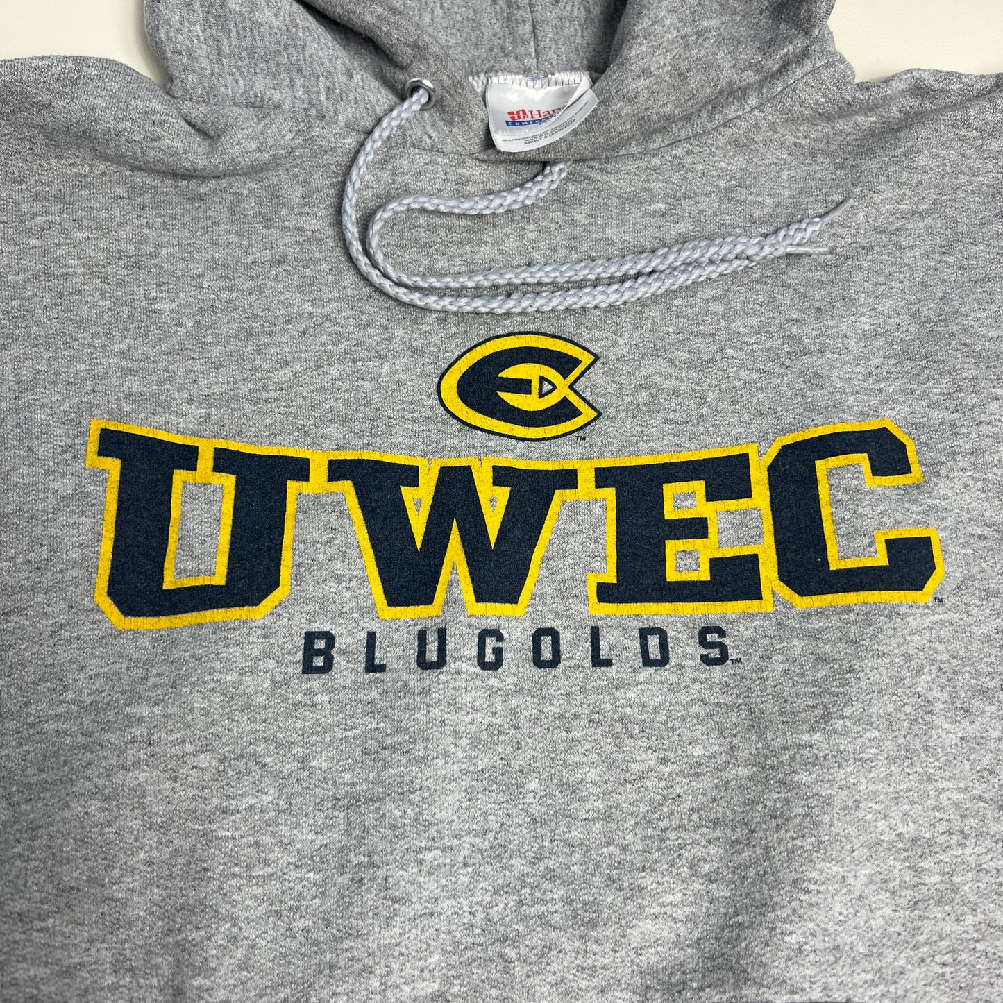 UW Eau Claire Vintage Hoodie - Small - Hanes