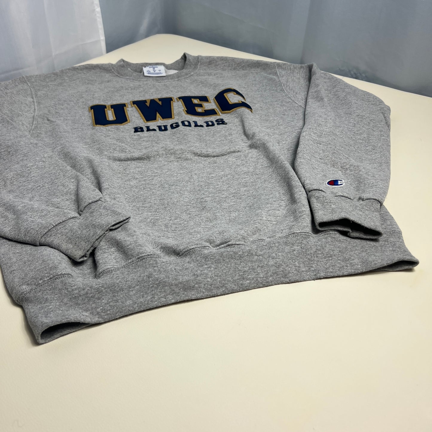 UW Eau Claire Blugolds Embroidered Crewneck - Medium - Champion