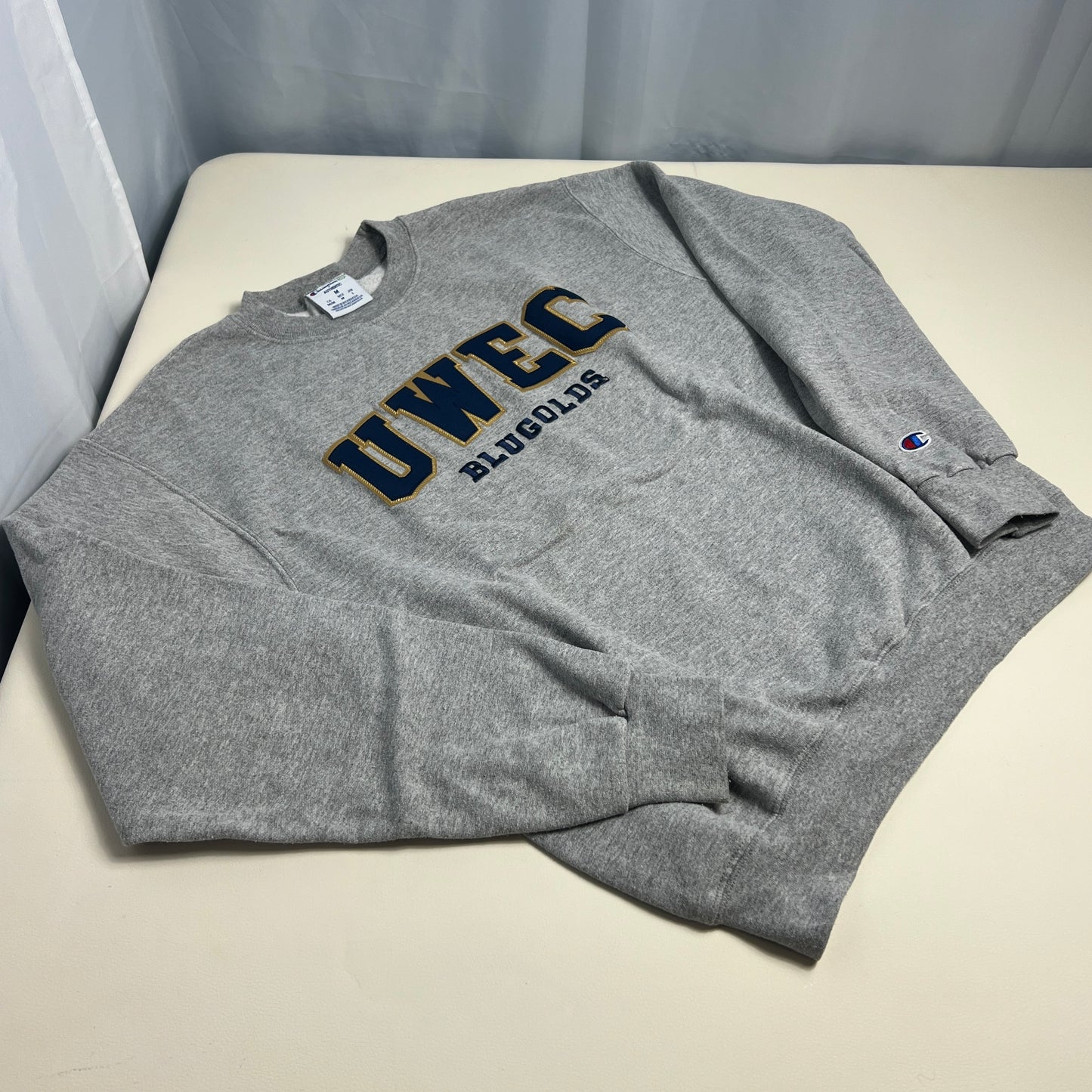 UW Eau Claire Blugolds Embroidered Crewneck - Medium - Champion