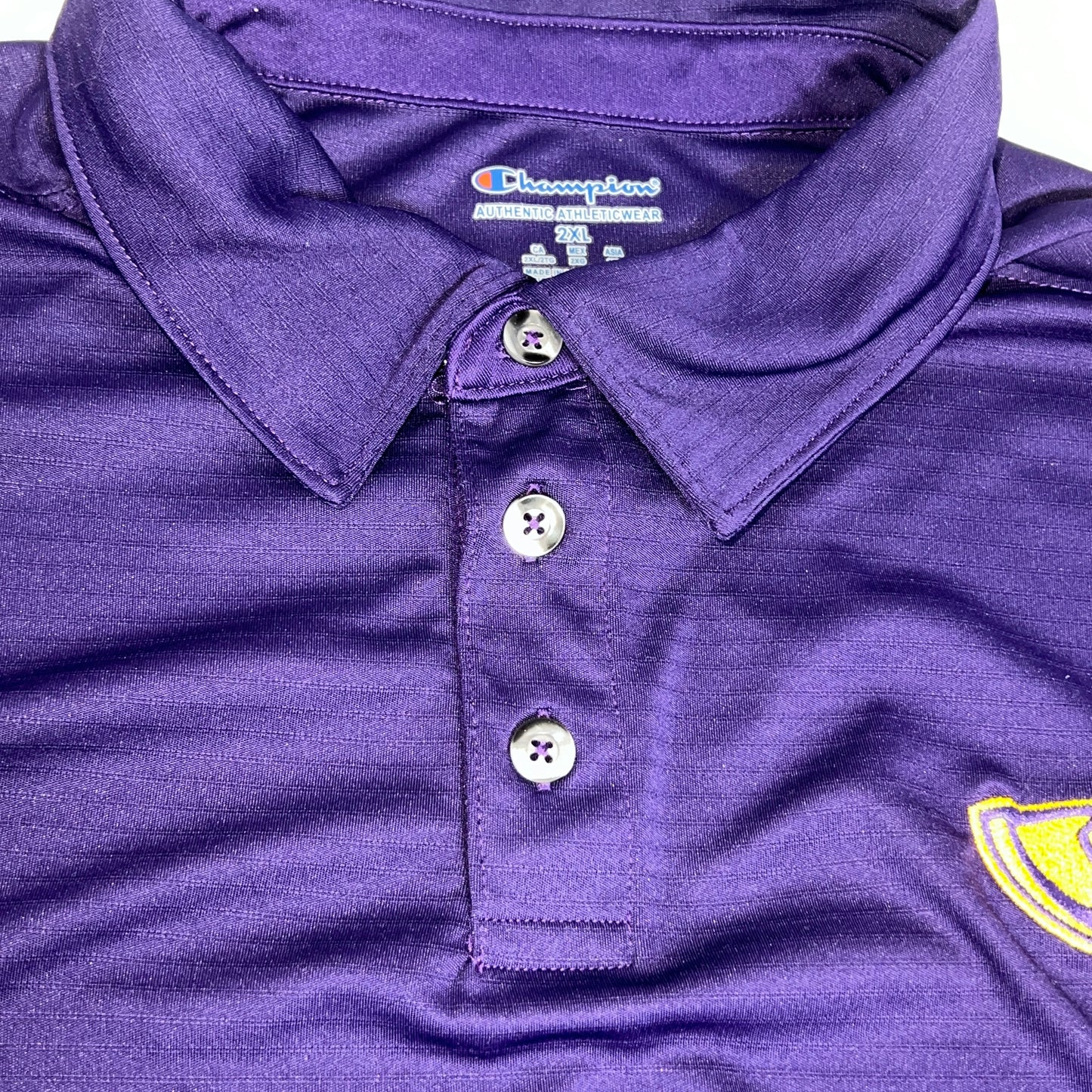 UW Stevens Point Pointers Polo - XX-Large - Champion
