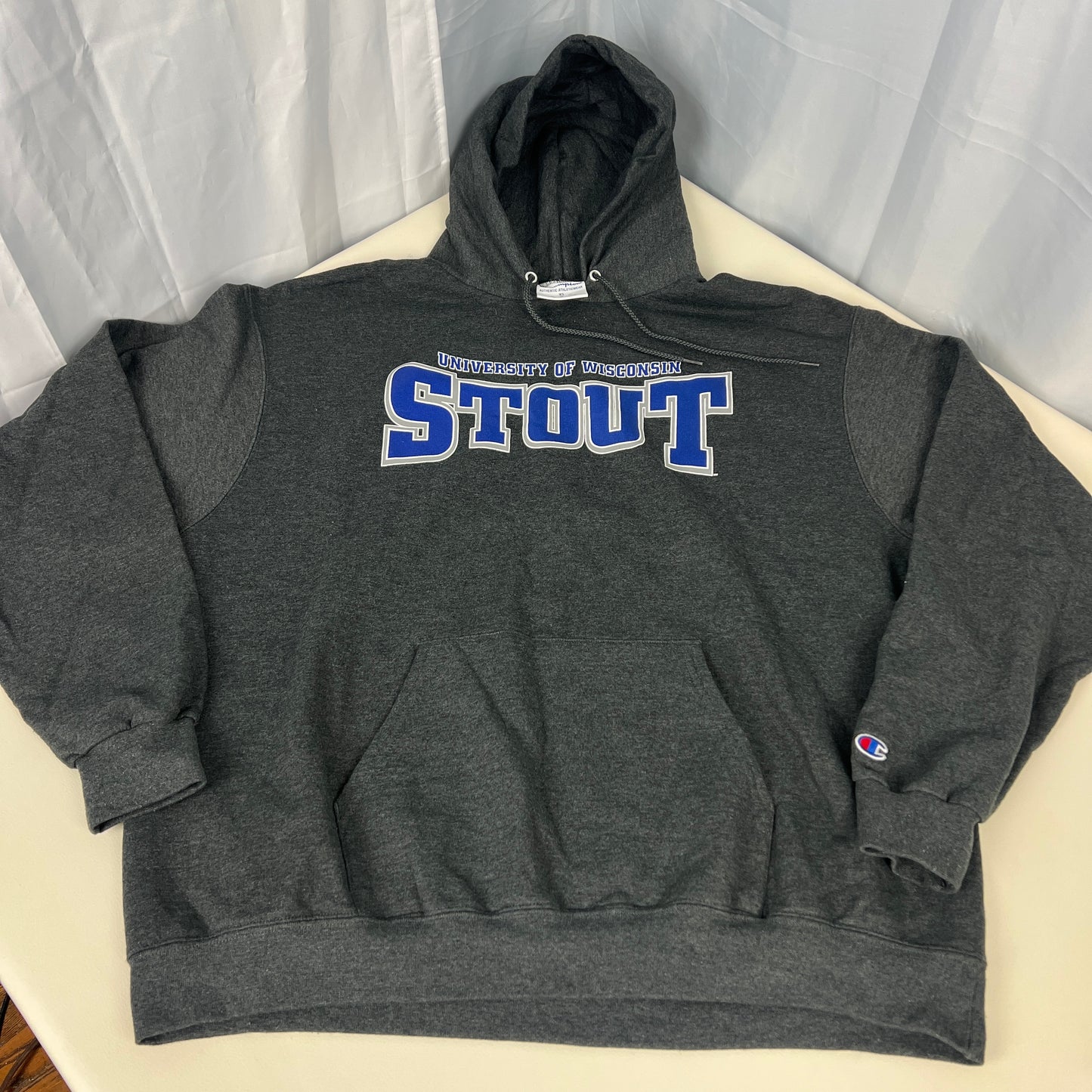 UW Stout Hoodie - Champion- XL