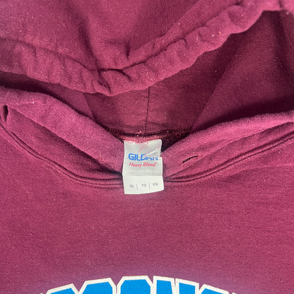 Retro Wisconsin Badgers Hoodie - XL - Gildan Alternate Colorway