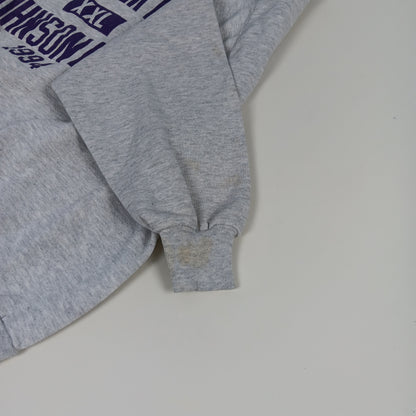 UW River Falls Vintage Crewneck 1994 Johnson Hall Medium/Large