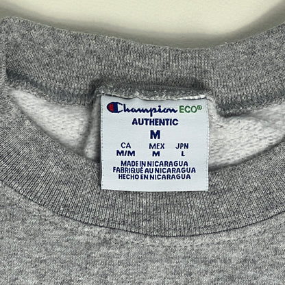 UW Eau Claire Blugolds Embroidered Crewneck - Medium - Champion