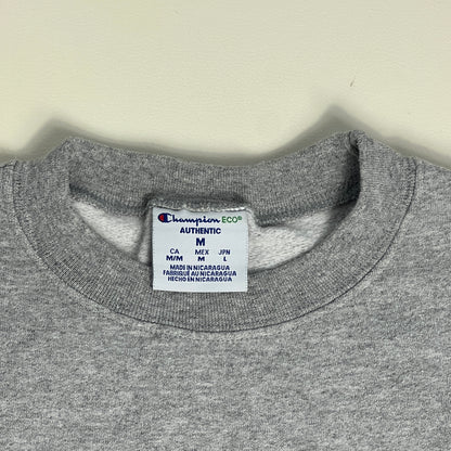 UW Eau Claire Blugolds Embroidered Crewneck - Medium - Champion